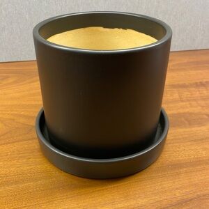 The Sill 7in Planter Black